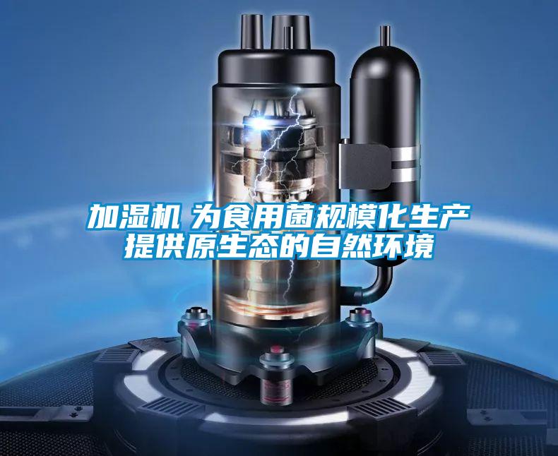 加濕機　為食用菌規?；a提供原生態的自然環境