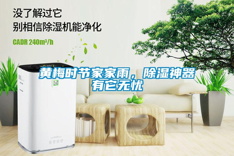 黃梅時節家家雨,除濕神器有它無憂
