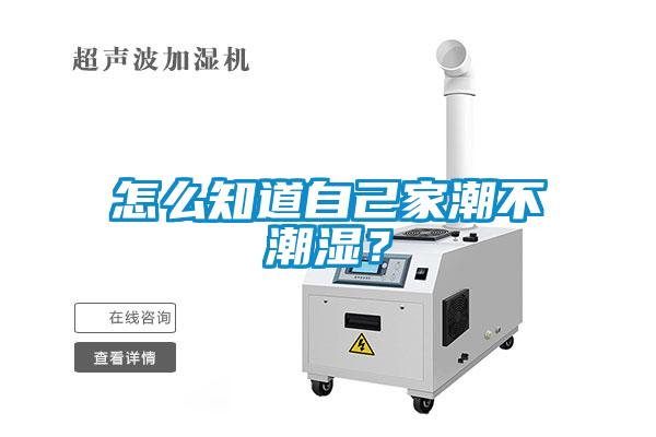 怎么知道自己家潮不潮濕？