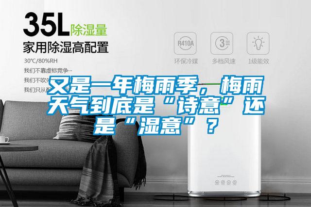 又是一年梅雨季,梅雨天氣到底是“詩意”還是“濕意”?