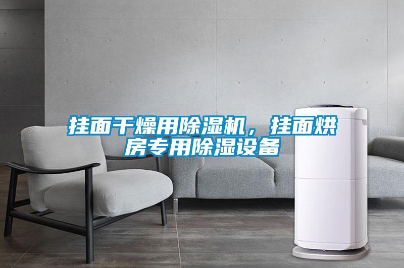 掛面干燥用除濕機,掛面烘房專用除濕設備