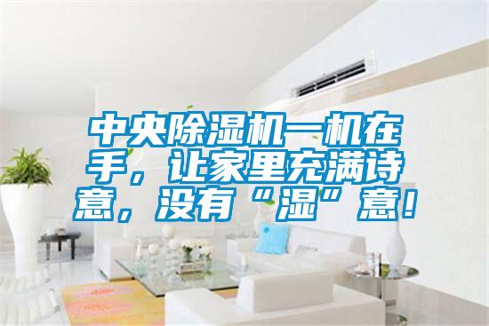 中央除濕機一機在手,讓家里充滿詩意,沒有“濕”意!