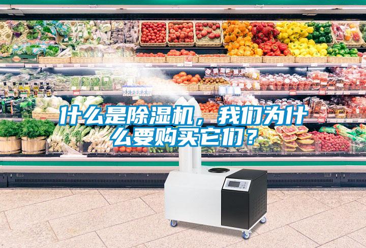 什么是除濕機(jī)，我們?yōu)槭裁匆徺I它們？