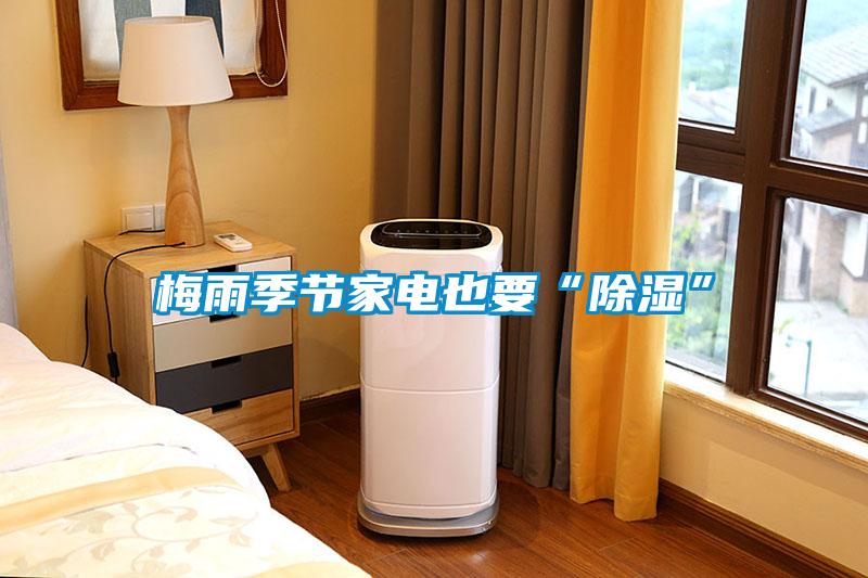 梅雨季節家電也要“除濕”