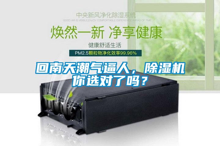 回南天潮氣逼人，除濕機你選對了嗎？