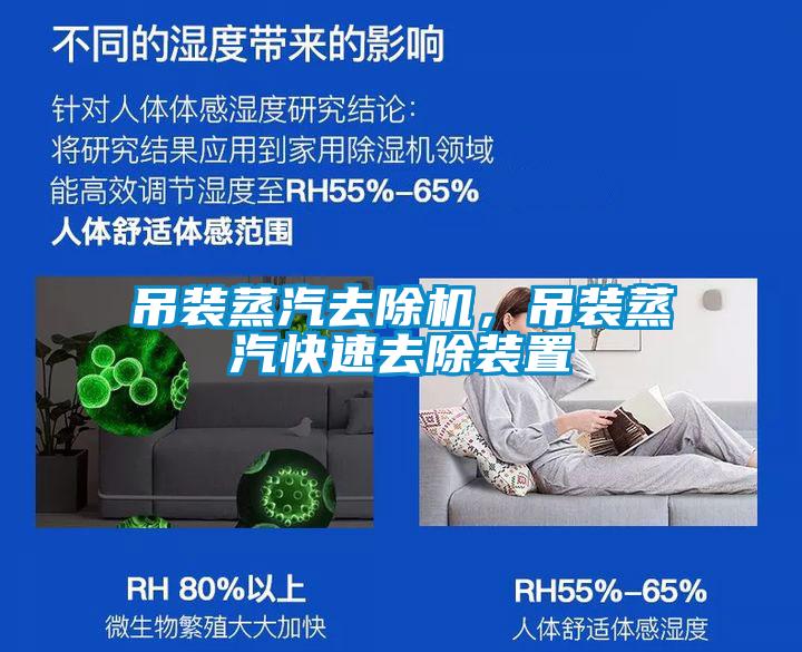 吊裝蒸汽去除機，吊裝蒸汽快速去除裝置