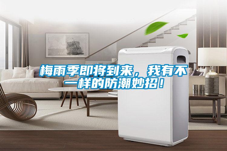 梅雨季即將到來，我有不一樣的防潮妙招！