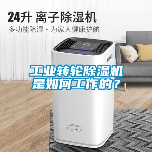 工業(yè)轉(zhuǎn)輪除濕機(jī)是如何工作的？