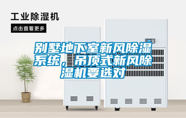 別墅地下室新風除濕系統，吊頂式新風除濕機要選對