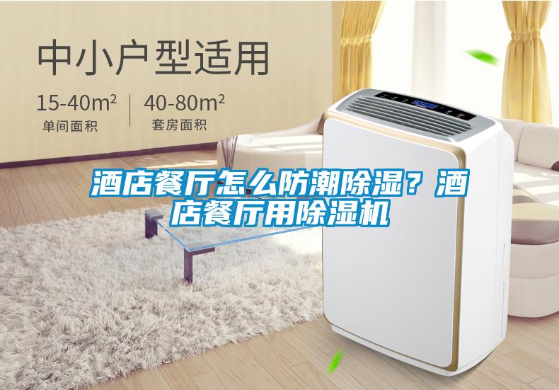 酒店餐廳怎么防潮除濕？酒店餐廳用除濕機