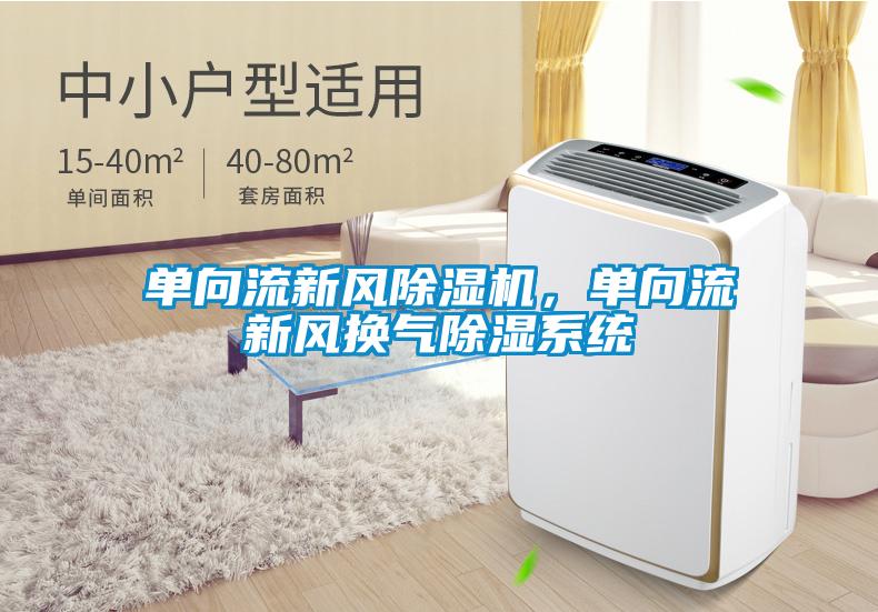 單向流新風除濕機，單向流新風換氣除濕系統