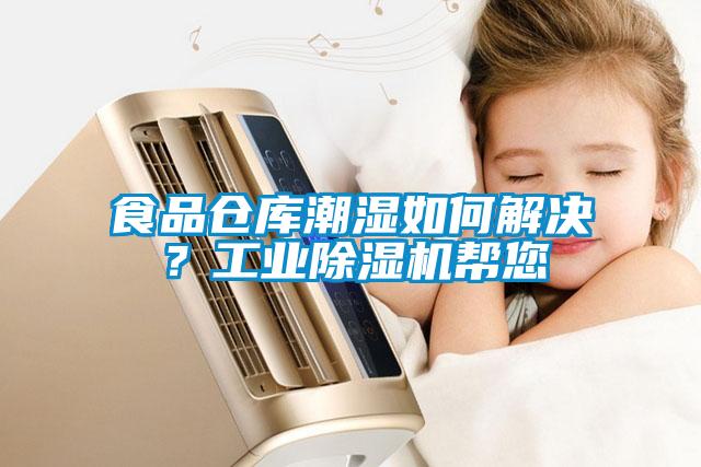 食品倉庫潮濕如何解決？工業除濕機幫您