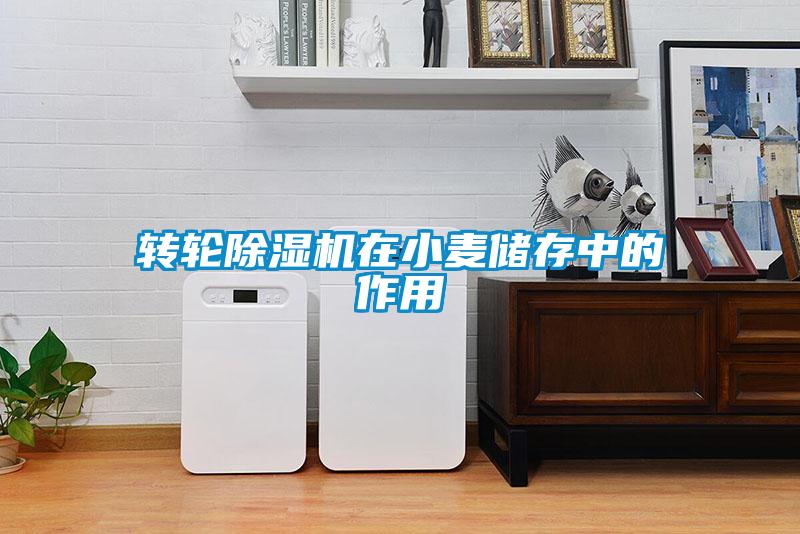 轉輪除濕機在小麥儲存中的作用