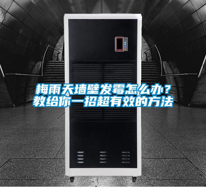 梅雨天墻壁發霉怎么辦？教給你一招超有效的方法