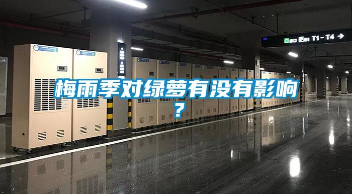 梅雨季對(duì)綠蘿有沒有影響？