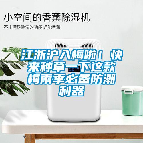 江浙滬入梅啦!快來種草一下這款梅雨季必備防潮利器