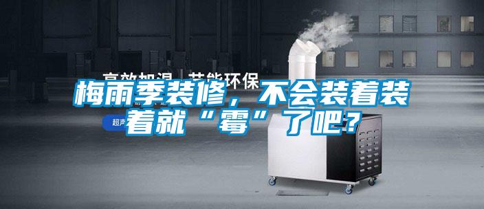 梅雨季裝修，不會裝著裝著就“霉”了吧？