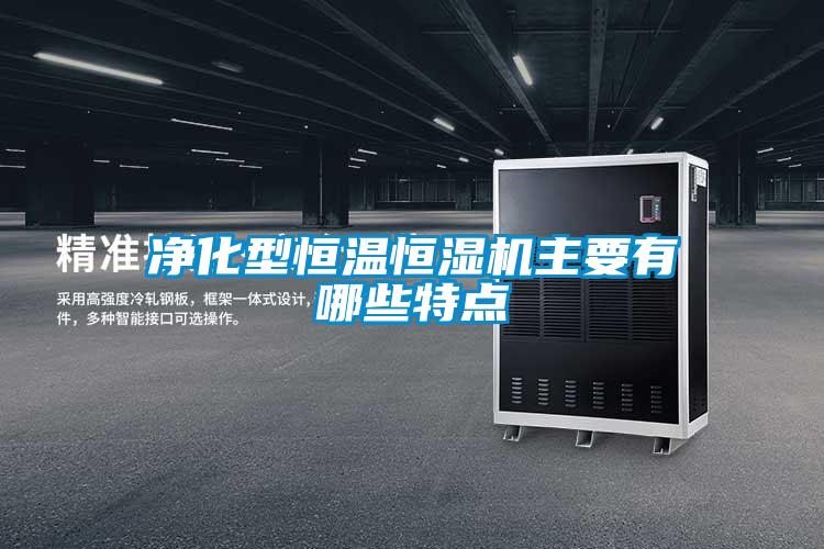 凈化型恒溫恒濕機(jī)主要有哪些特點