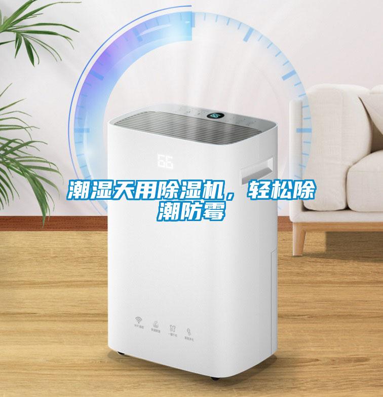 潮濕天用除濕機，輕松除潮防霉