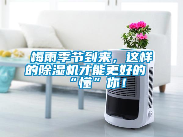 梅雨季節到來，這樣的除濕機才能更好的“懂”你！