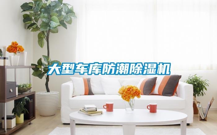 大型車(chē)庫(kù)防潮除濕機(jī)