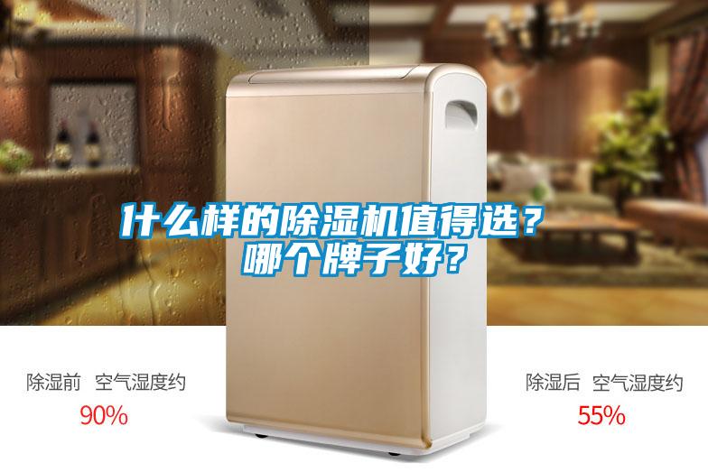 什么樣的除濕機值得選？ 哪個牌子好？
