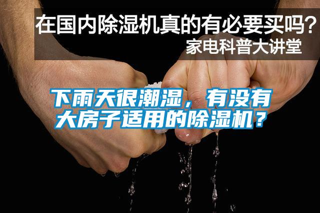 下雨天很潮濕，有沒有大房子適用的除濕機(jī)？