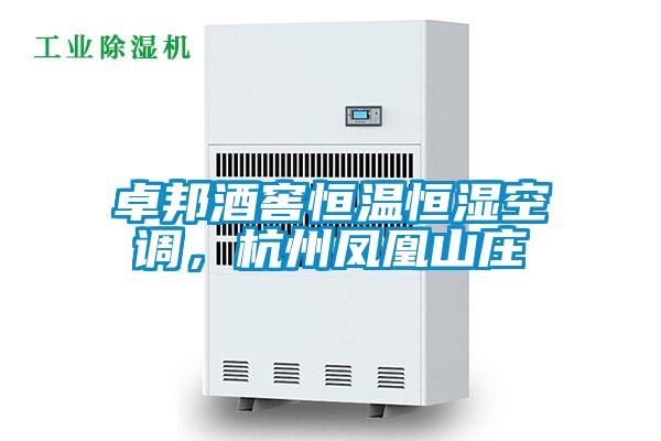 卓邦酒窖恒溫恒濕空調，杭州鳳凰山莊
