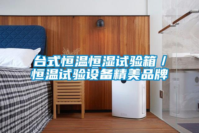 臺式恒溫恒濕試驗箱／恒溫試驗設備精美品牌