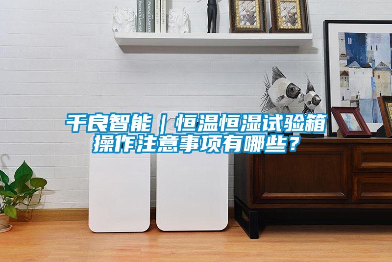 千良智能|恒溫恒濕試驗(yàn)箱操作注意事項(xiàng)有哪些?