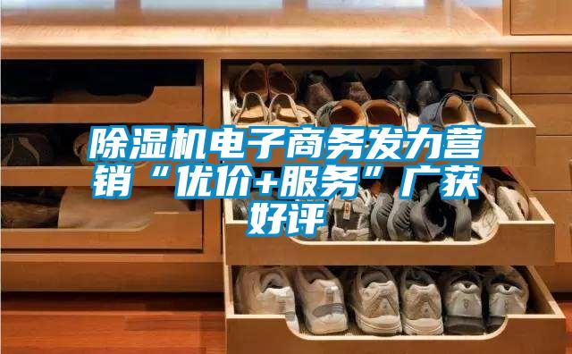 除濕機(jī)電子商務(wù)發(fā)力營銷“優(yōu)價(jià)+服務(wù)”廣獲好評