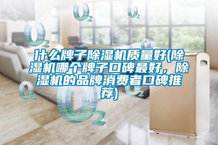 什么牌子除濕機質(zhì)量好(除濕機哪個牌子口碑最好，除濕機的品牌消費者口碑推薦)