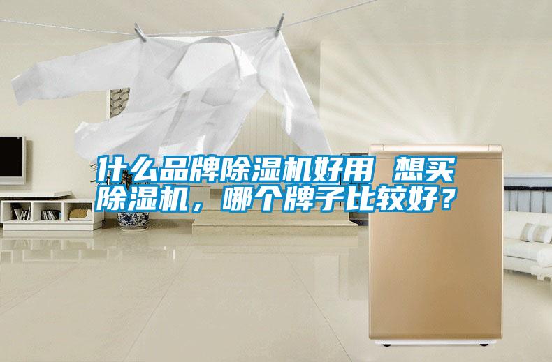 什么品牌除濕機好用 想買除濕機，哪個牌子比較好？