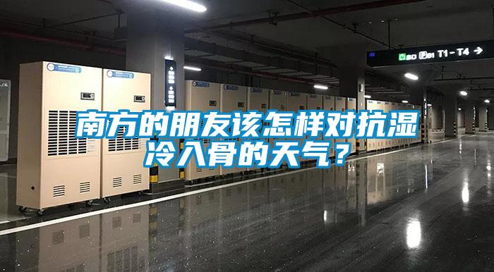 南方的朋友該怎樣對抗濕冷入骨的天氣？