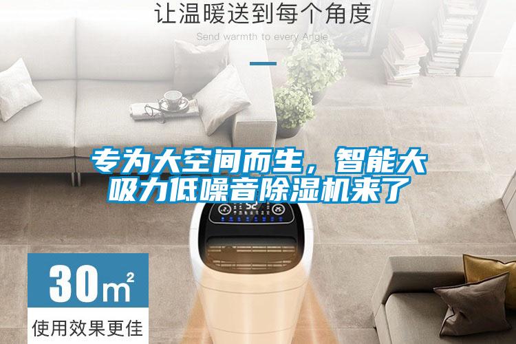 專為大空間而生，智能大吸力低噪音除濕機來了