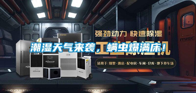 潮濕天氣來襲，螨蟲爆滿床！