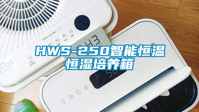 HWS-250智能恒溫恒濕培養箱