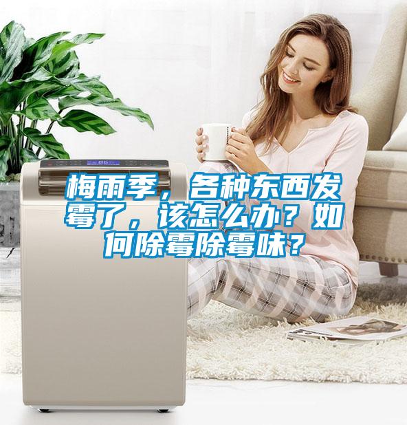 梅雨季，各種東西發(fā)霉了，該怎么辦？如何除霉除霉味？