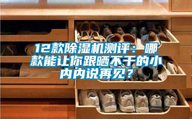 12款除濕機測評：哪款能讓你跟曬不干的小內內說再見？