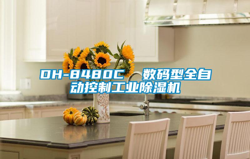 DH-8480C 數(shù)碼型全自動控制工業(yè)除濕機