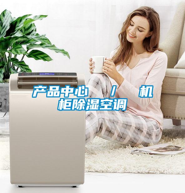 產品中心  ／  機柜除濕空調