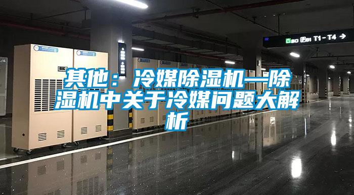 其他:冷媒除濕機—除濕機中關于冷媒問題大解析