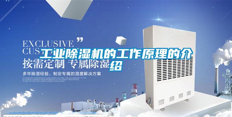 工業除濕機的工作原理的介紹