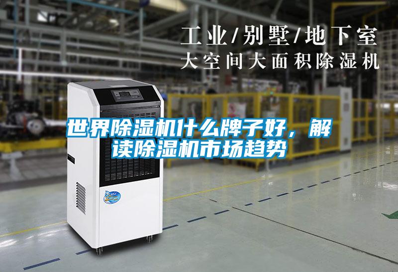 世界除濕機什么牌子好，解讀除濕機市場趨勢