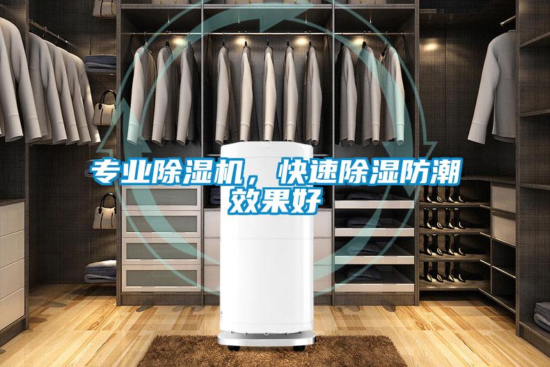 專業除濕機，快速除濕防潮效果好