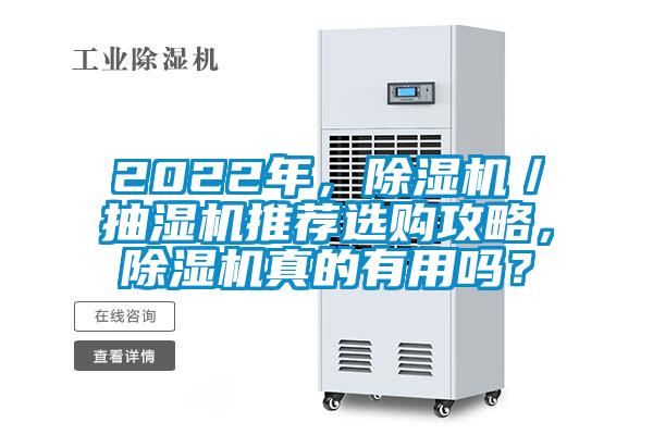 2022年，除濕機／抽濕機推薦選購攻略，除濕機真的有用嗎？