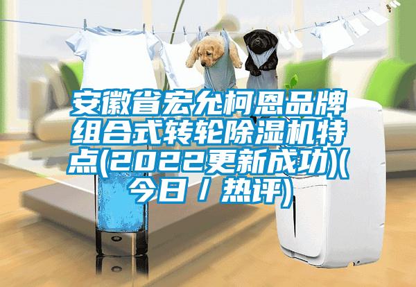 安徽省宏允柯恩品牌組合式轉輪除濕機特點(2022更新成功)(今日/熱評)