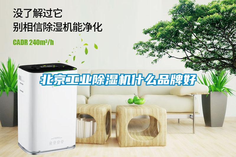 北京工業除濕機什么品牌好