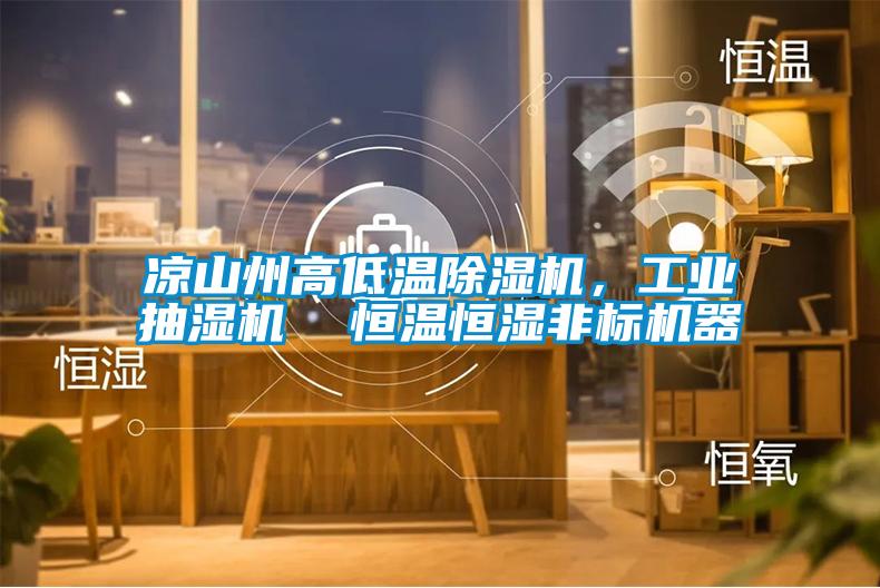 涼山州高低溫除濕機，工業抽濕機  恒溫恒濕非標機器