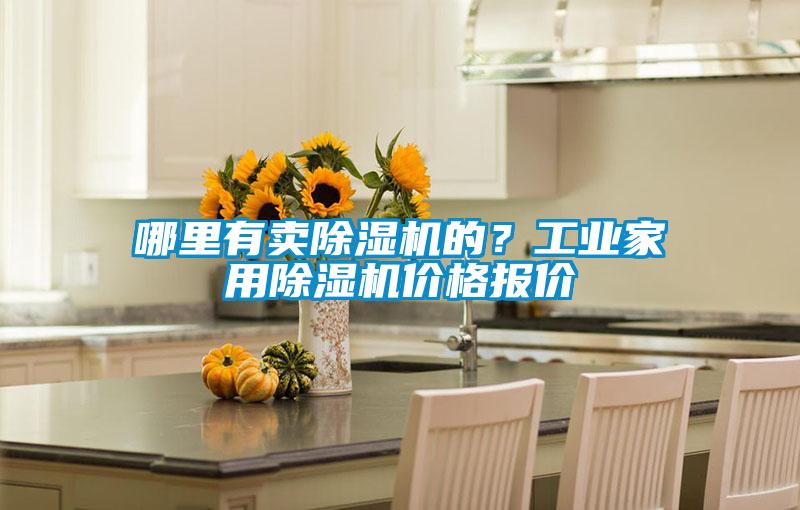 哪里有賣除濕機的？工業家用除濕機價格報價